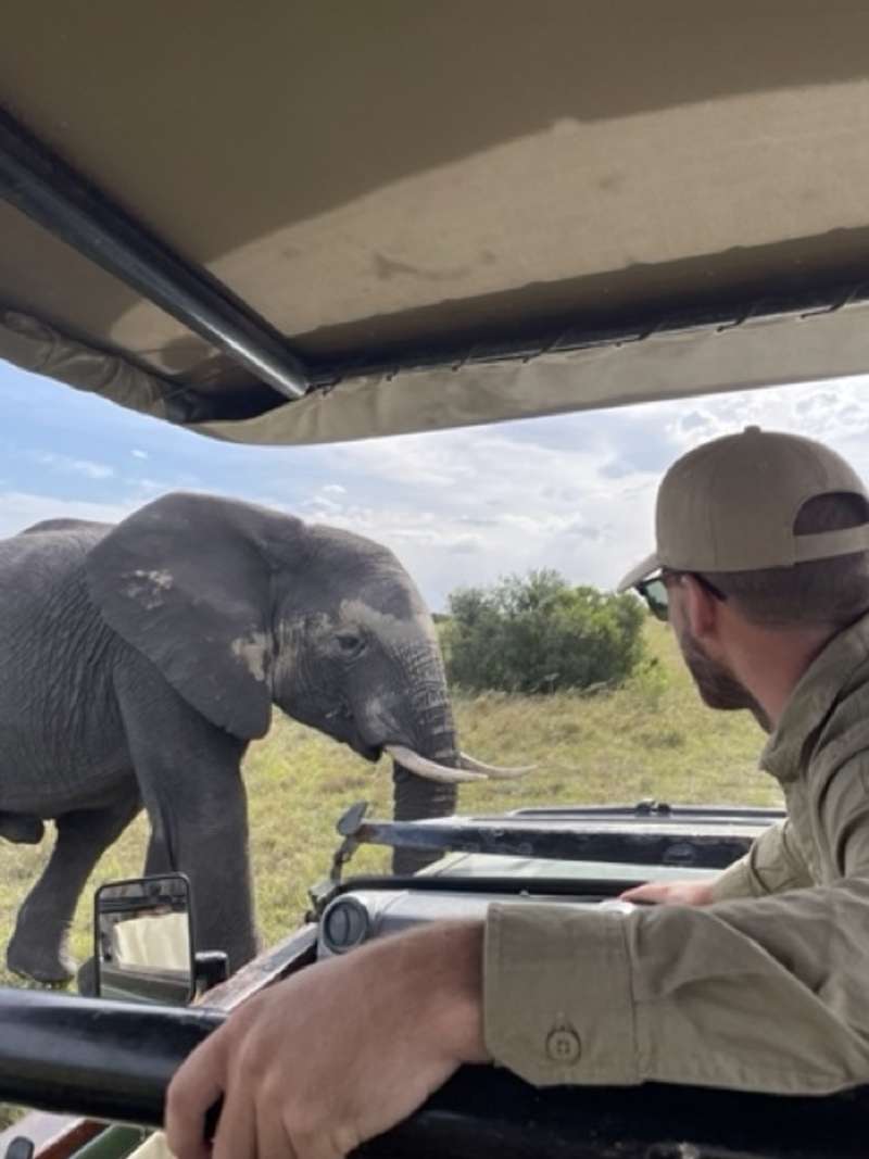 a man looks out on elephant in the safari