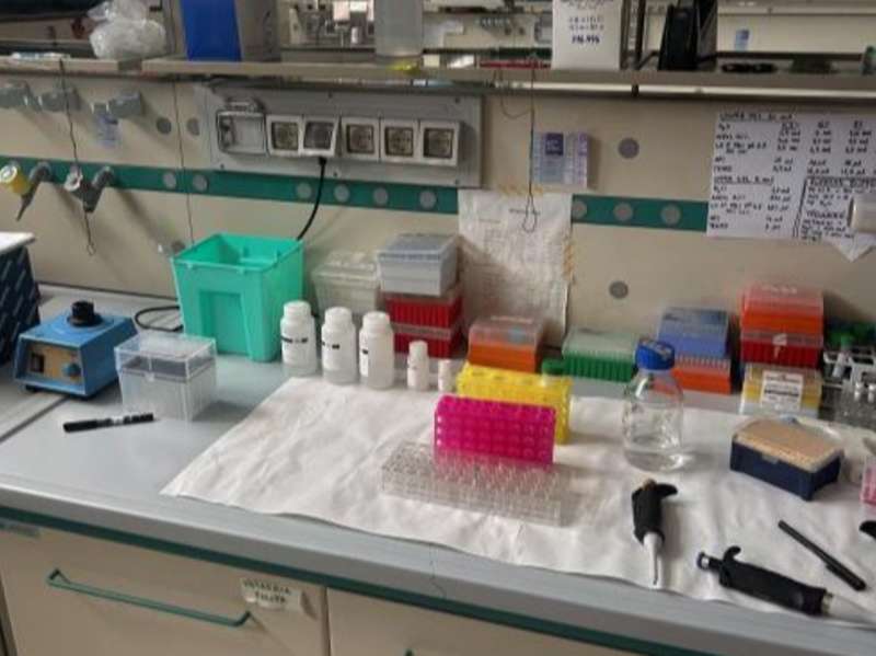 A medical lab in Siena, Italy.
