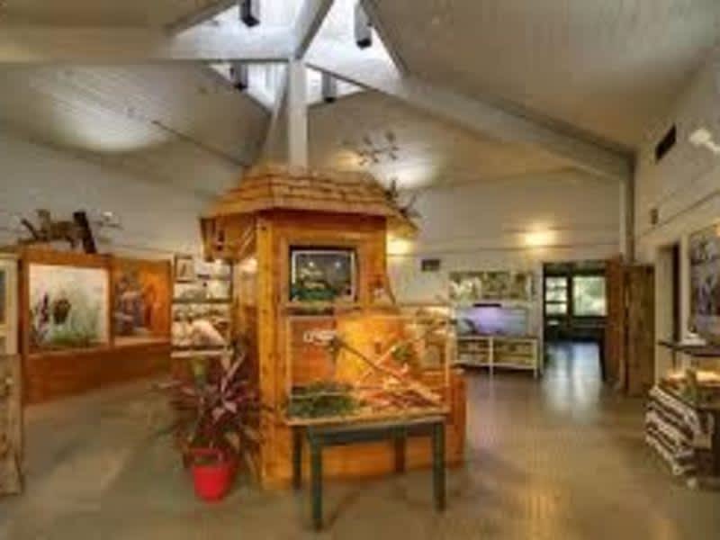 a room filled with wooden furtnitures