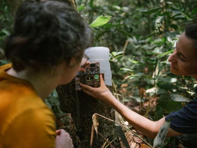 A staff member of ASA and a student setting up a camera trap at Finca Las Piedras