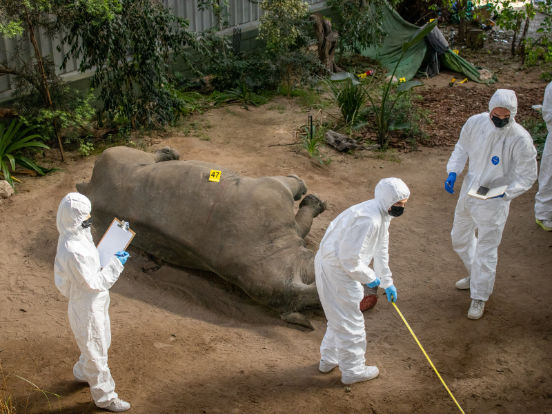a staged wildlife crime scene used for training