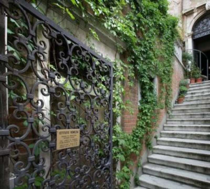A staircase leading to a building covered in ivy.