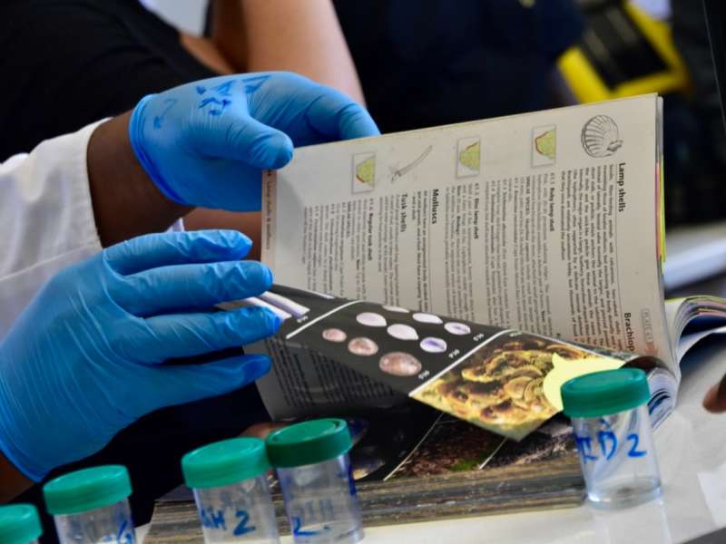 A student in blue latex gloves handles labelled sample vials and a marine biology reference book during a Marine and Maritime Studies class.