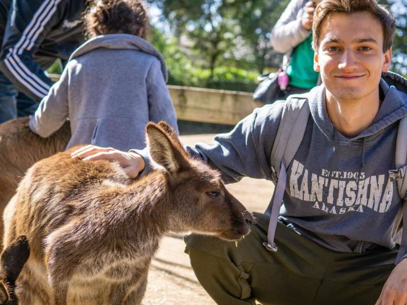 a student petting a wallaby
