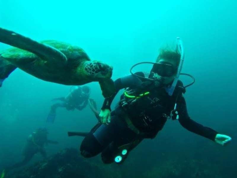 A student scuba diving next to a sea turtle in the Galapagos.