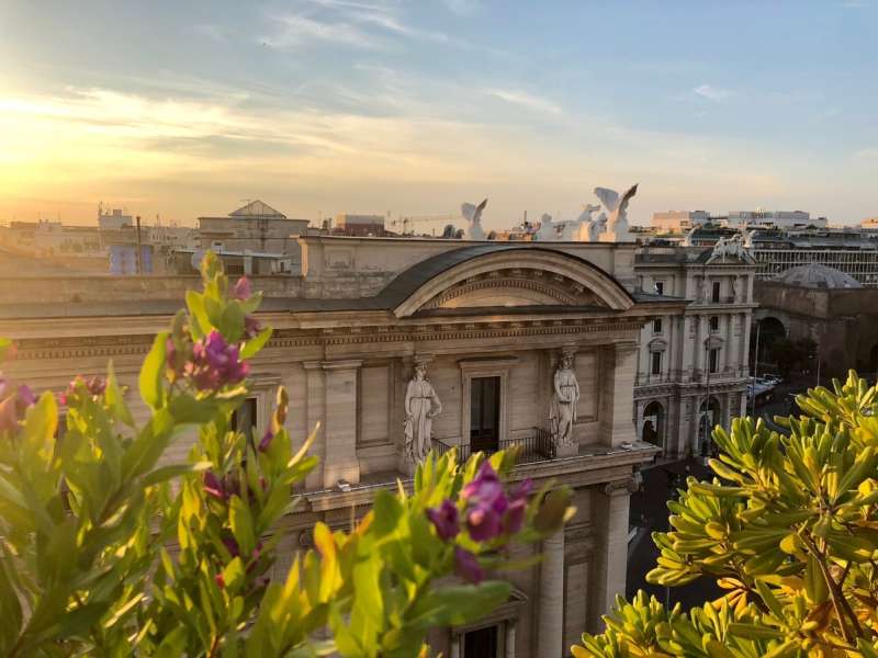 A view of an old building from a rooftop at sunset, with flowers in the foreground.