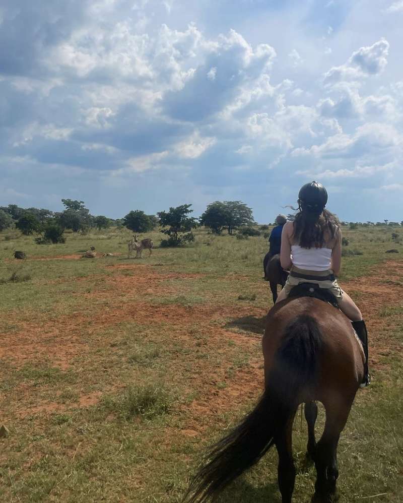 A volunteer on horseback walks past three zebras on a horseback safari. 