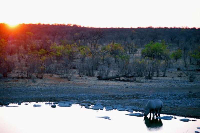 Decolonizing the Mind: Racial and Environmental Justice — photo 5