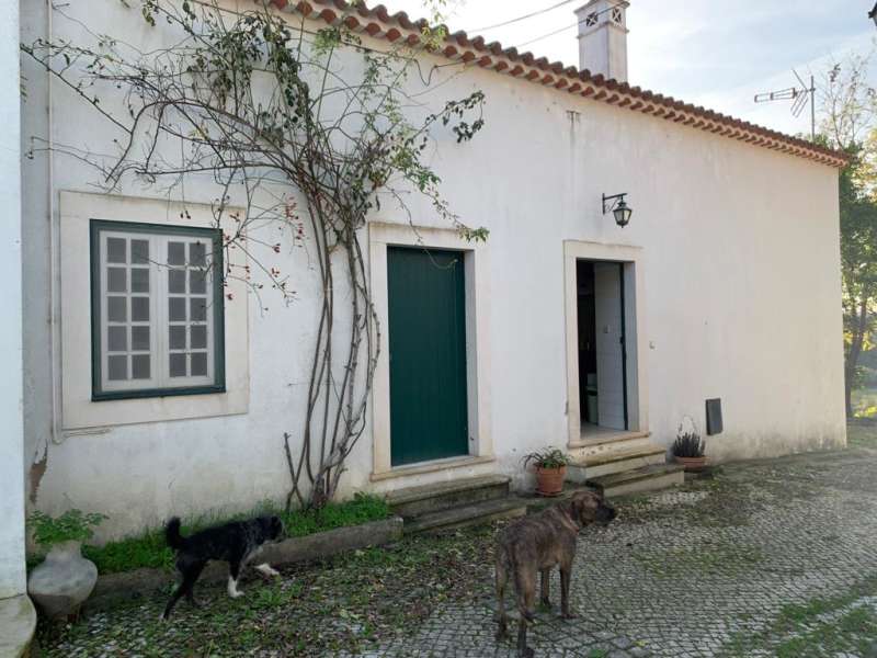 ACCOMMODATION IN  Portugal