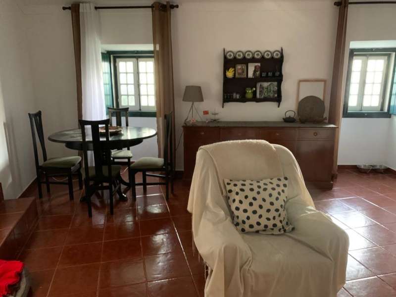 accommodation of Veterinary Interns in Portugal