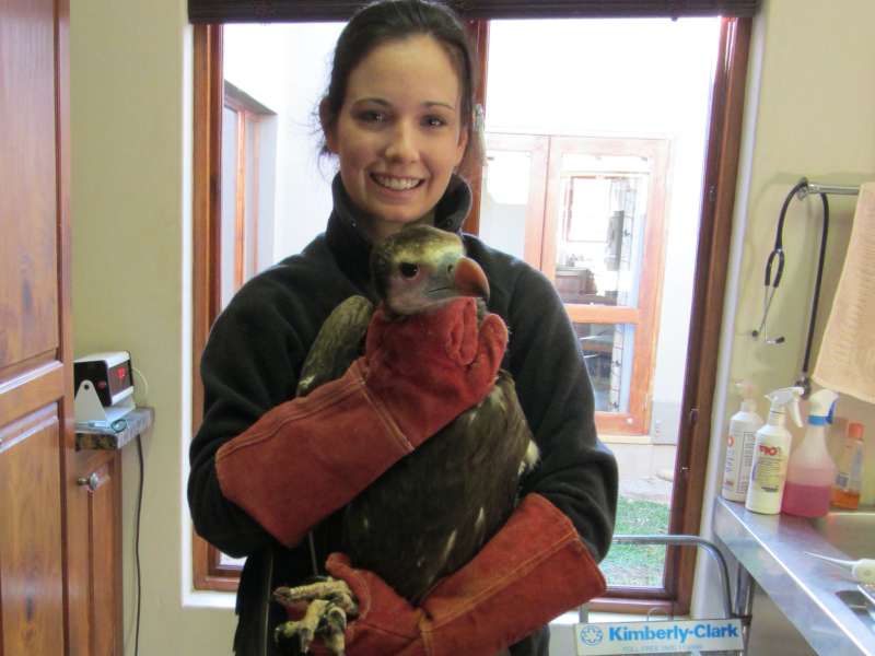 ACE volunteer posing with a healing bird in a clinic