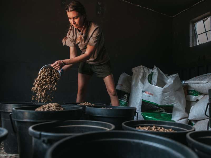 ACE volunteer preparing food for the rhinos