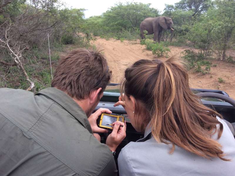 ACE volunteers sat in a jeep monitoring elephant population at Phinda