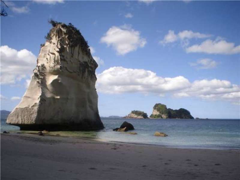 USAC New Zealand: Auckland - Full Curriculum — photo 2