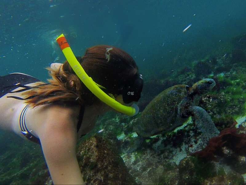 AIFS Abroad student in the Galápagos Islands, Ecuador