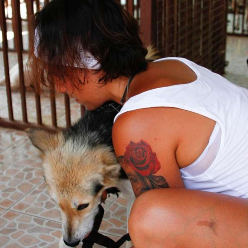 One of the volunteers feeding a dog in the kennels