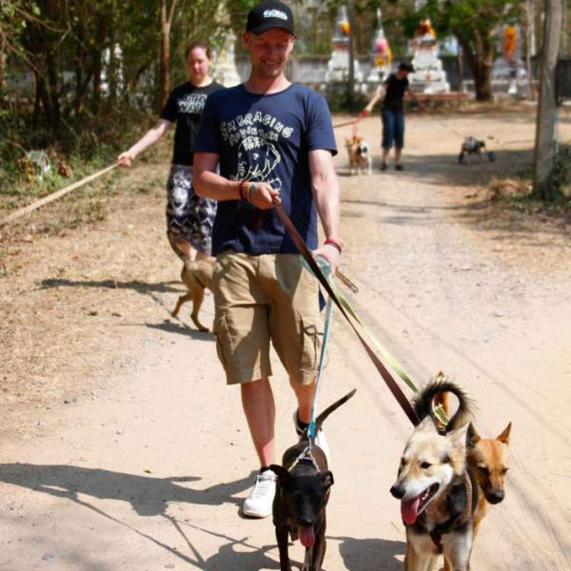 Volunteers walking the kennel dogs