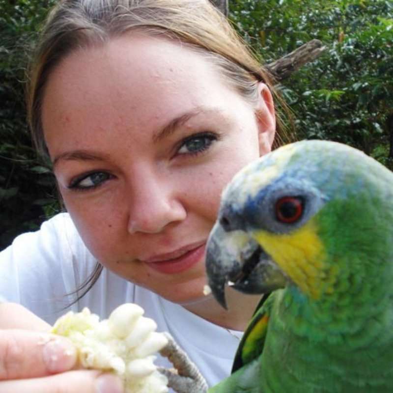 Protect animals in the Amazon Rainforest