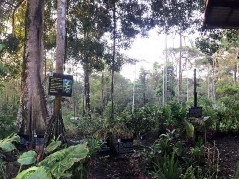 Wildlife protection in the Amazon Rainforest