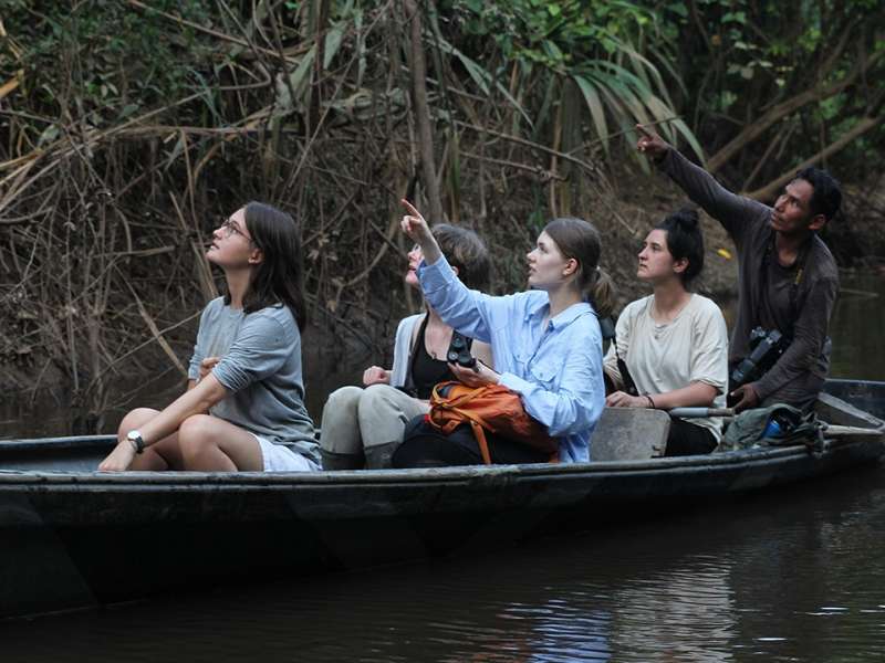 Amazon jungle conservation volunteering in Peru