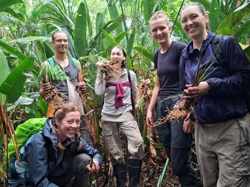 Amazon jungle conservation volunteering in Peru