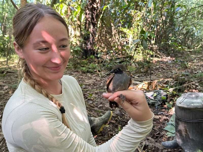 Amazon jungle conservation volunteering in Peru