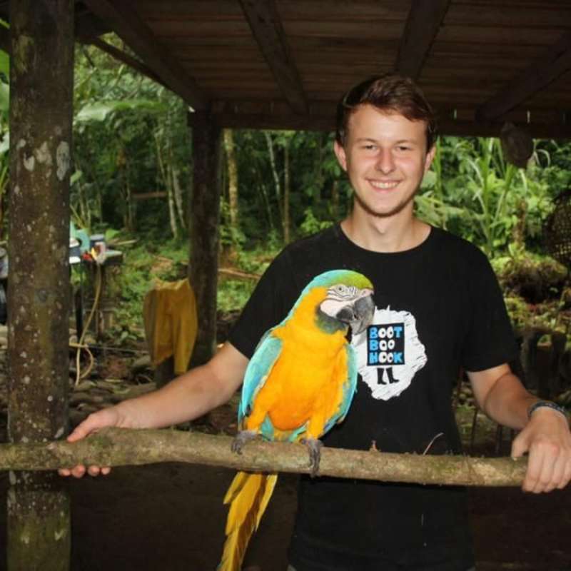 Volunteer in the Amazon Rainforest