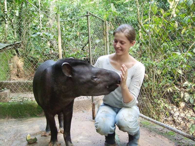 Amazonas