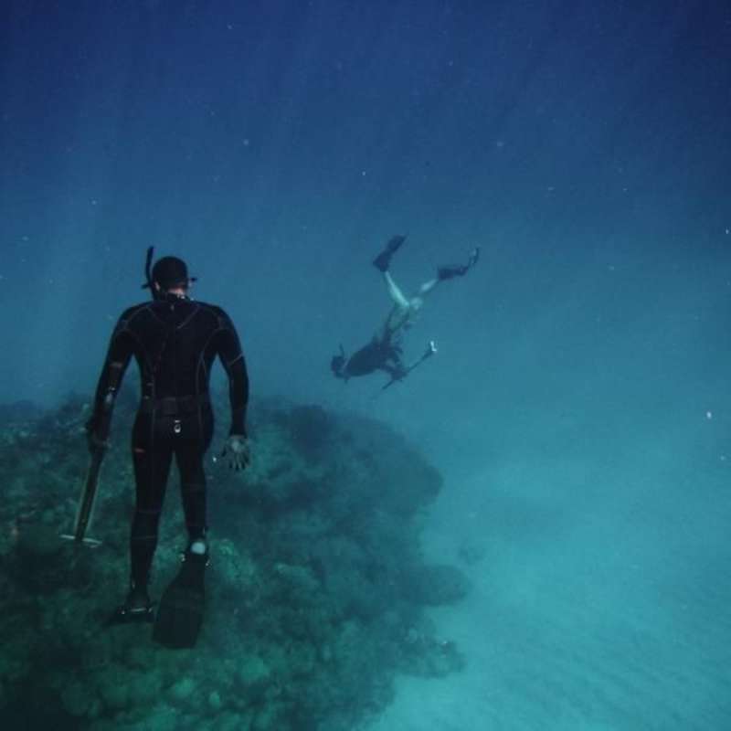 Reef Protection Internship
