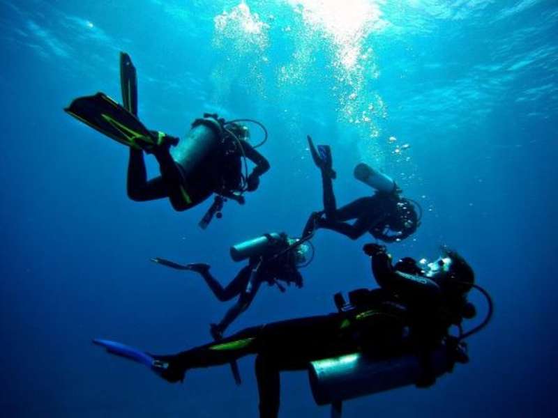 An underwater view of scuba divers in the ocean at Galapagos Islands.