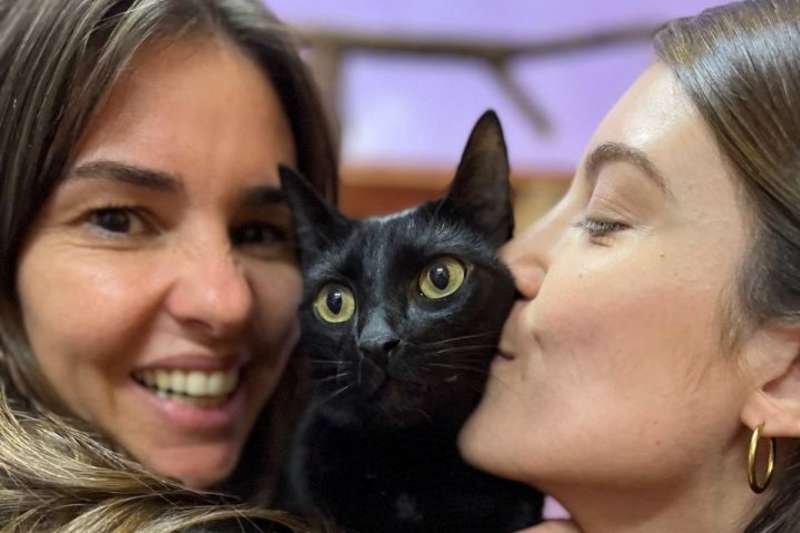 Animal Care