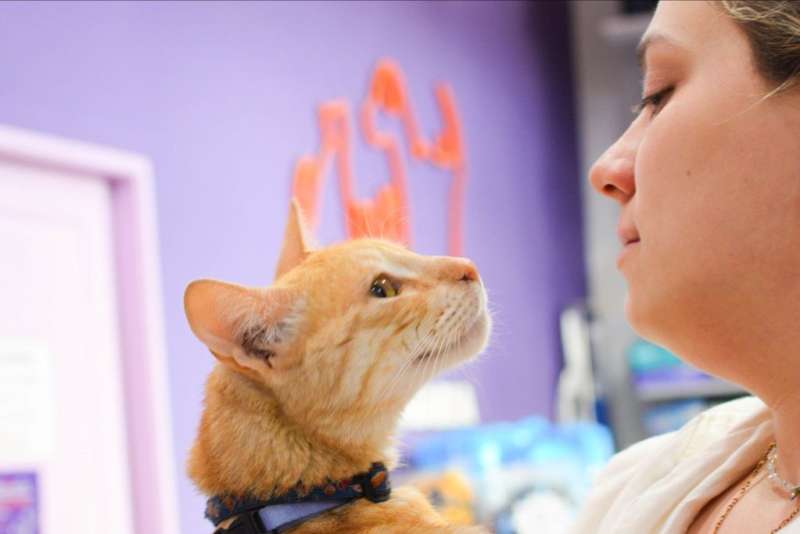 Animal Care