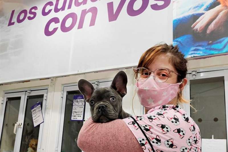 Animal Care