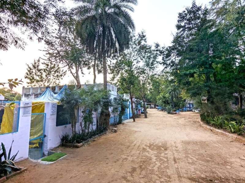 Animal Shelter and Animal Hospital in Jaipur, India
