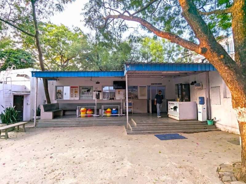 Animal Shelter and Animal Hospital in Jaipur, India