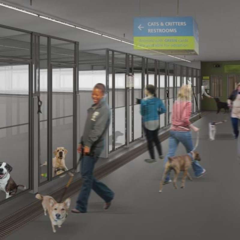 All pet accommodations are temperature-controlled and cleaned multiple times per day.