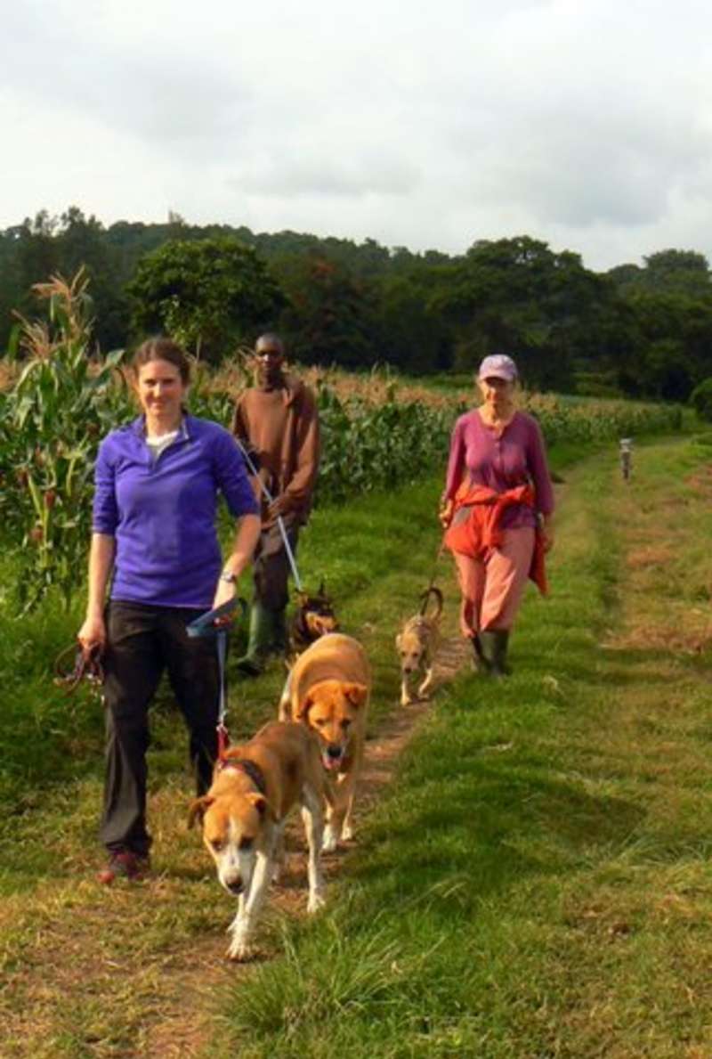 Animal Welfare Volunteering