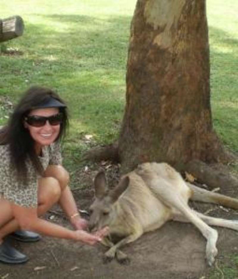 Koala Sanctuary Internship in Australia — photo 1