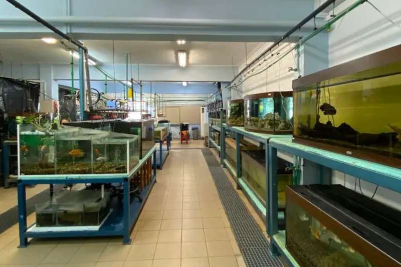 Aquaculture & Fisheries Internship in Greece