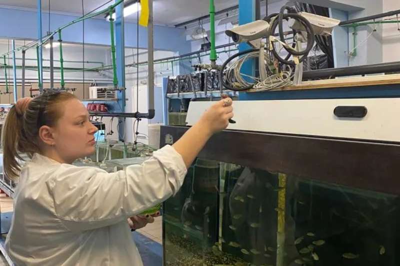 Aquaculture & Fisheries Internship in Greece