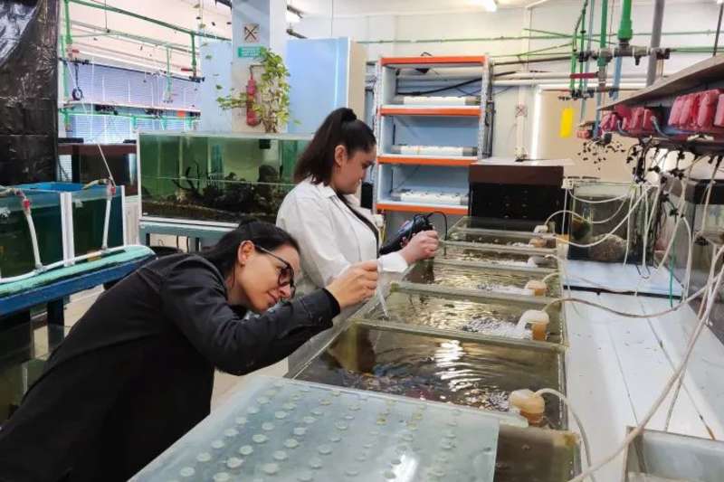 Aquaculture & Fisheries Internship in Greece
