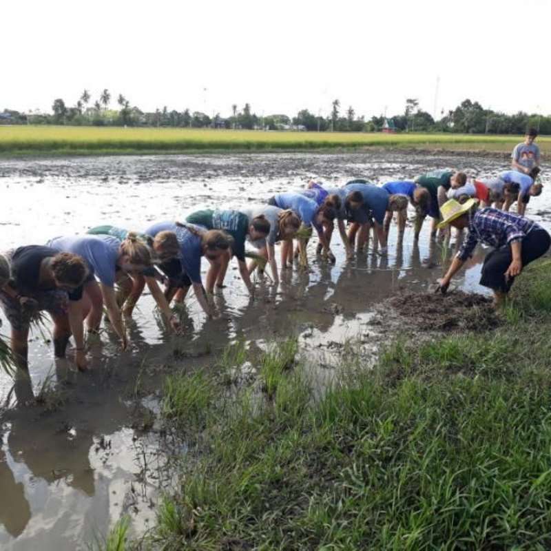 ARCC Thailand Elephant Experience | Summer Travel Program for Teens