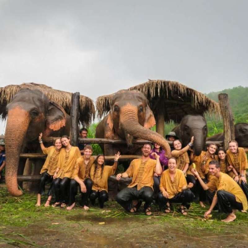 ARCC Thailand Elephant Experience | Summer Travel Program for Teens