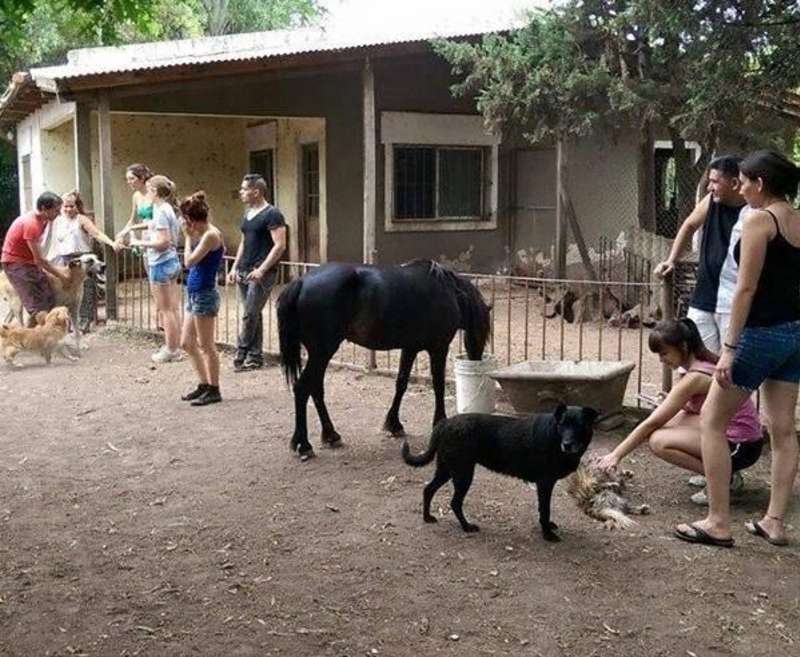 Volunteer in Animal Conservation