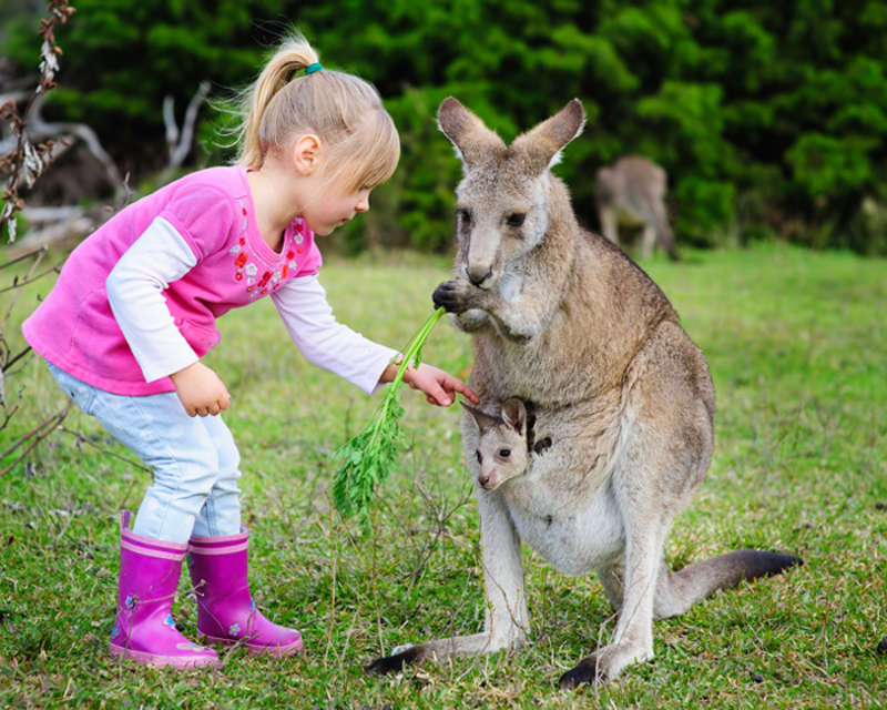 AuPair Australia