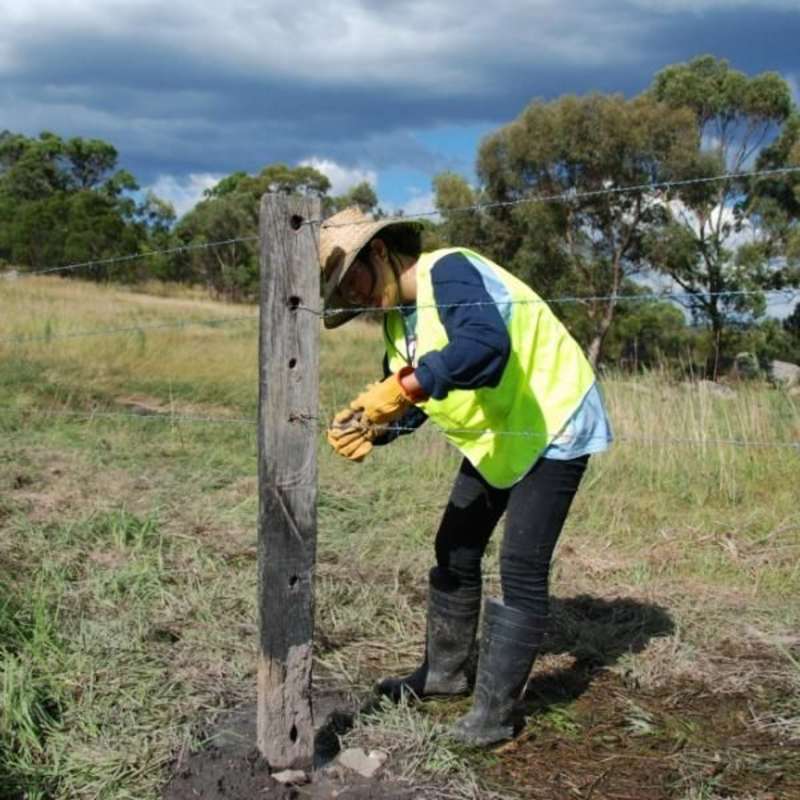 Volunteer in Environment Conservation