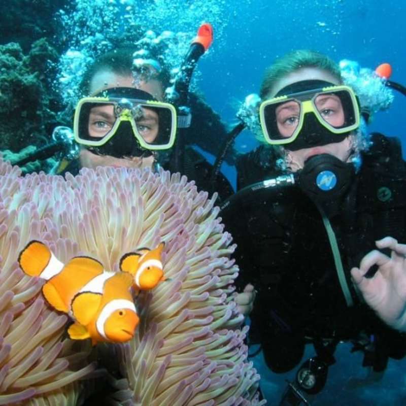 GoEco Australia - Great Barrier Reef Conservation