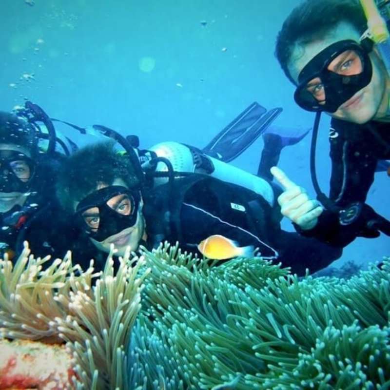 GoEco Australia - Great Barrier Reef Conservation