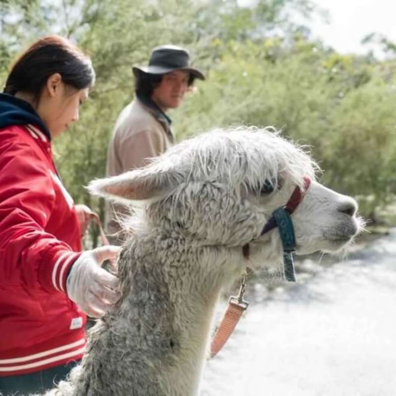 GoEco Australia - Wild Animal Sanctuary