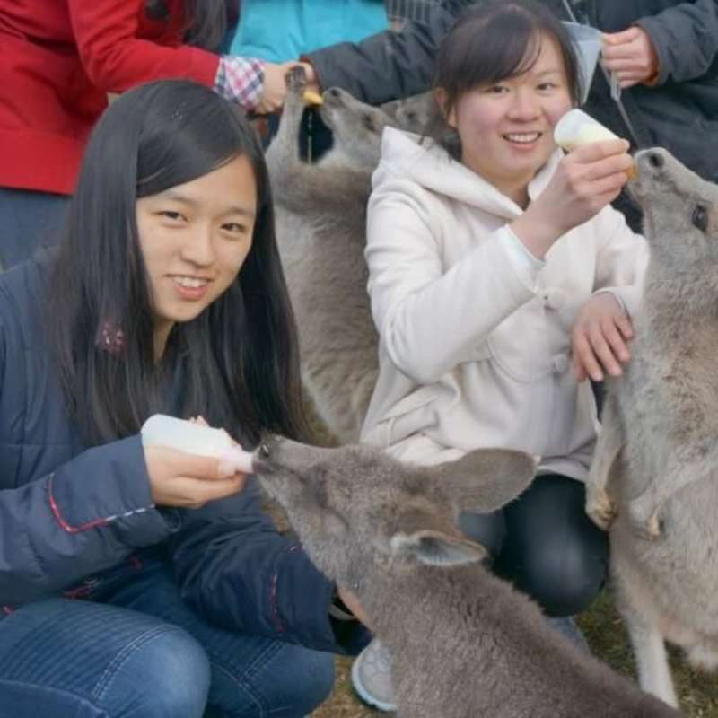 GoEco Australia - Wild Animal Sanctuary
